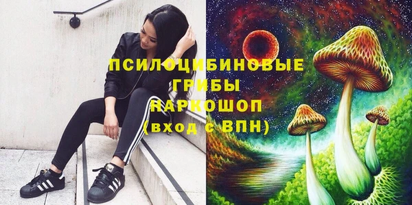 2c-b Бронницы